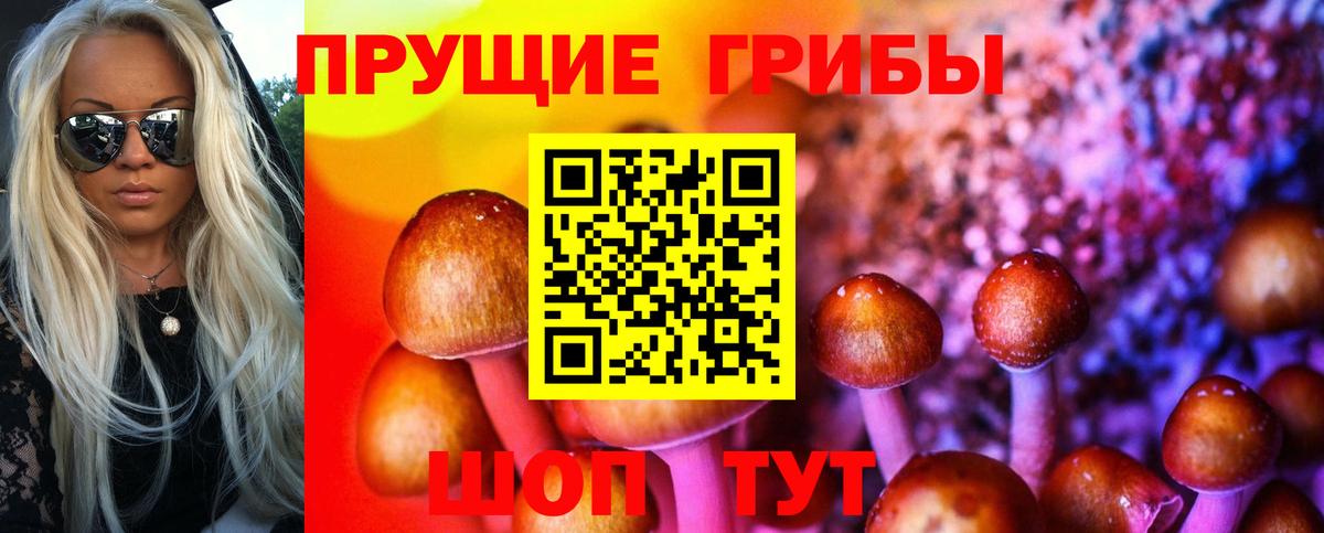 Воркута  Псилоцибиновые грибы Cubensis  Вход с VPN  наркотики  Галлюциногенные грибы прущие грибы 